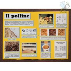 Apri scheda prodotto: Poster `IL POLLINE`cm. 50x70